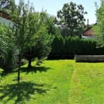 prodej-zahrady-se-zdenou-chatou-400-m2-litvinovice-sindlovy-dvory-20230824-131513-ff6f35